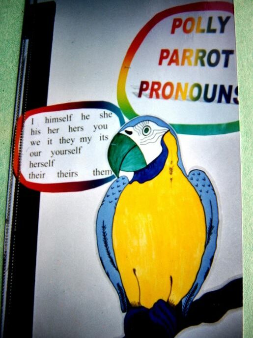 a parrot