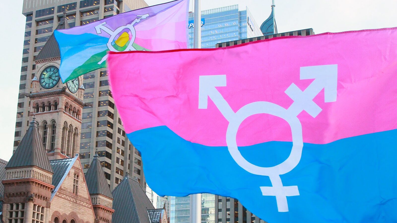 transgender flag