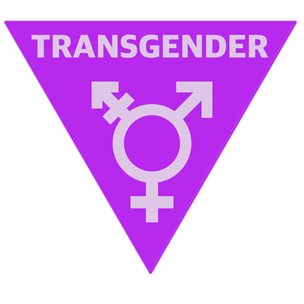 Inverted Triangle Transgender Symbol