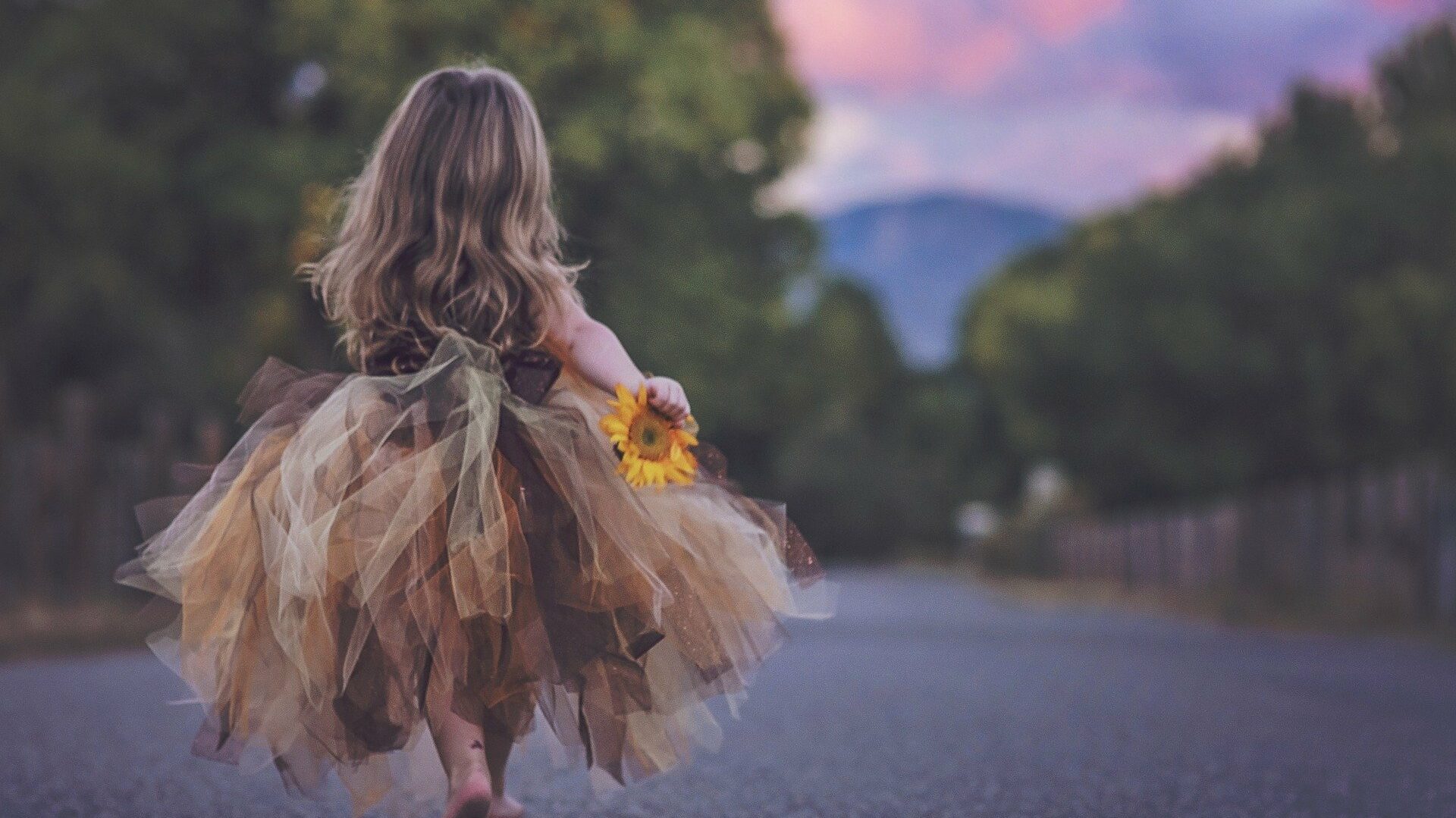 Child in a brown and beige tulle dress holding a sunflower, walking down a road at sunset