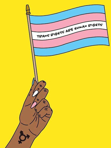 transgender flag