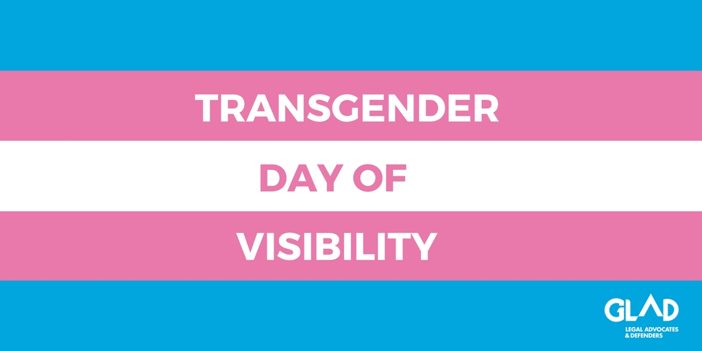 Transgender Flag with TDOV