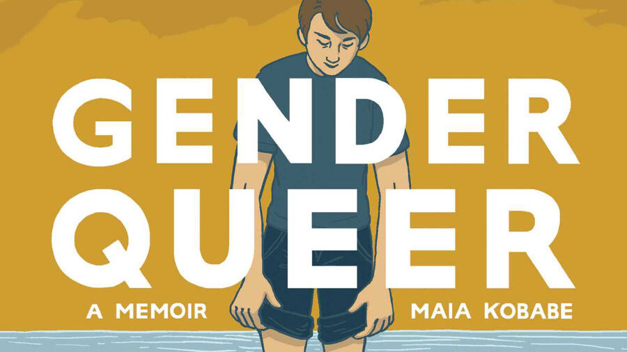 Gender Queer: A Memoir cover