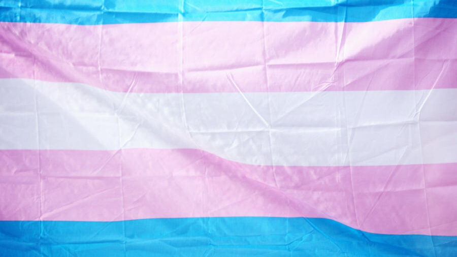 Horizontal transgender flag