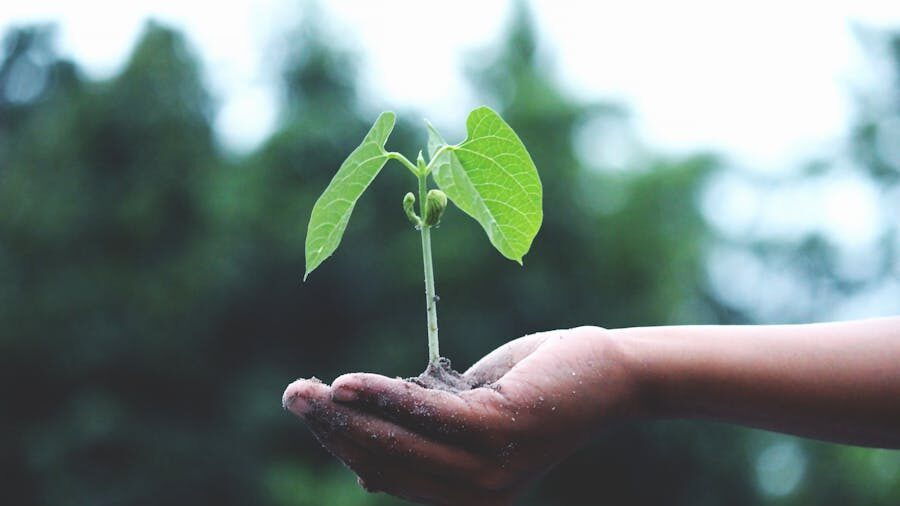 A hand holding a small green seedling with soil, against a blurred natural background.