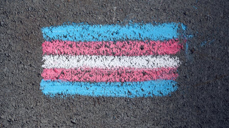 A hand-drawn transgender pride flag in chalk, with vibrant blue, pink, and white stripes, stands out on rough gray asphalt.