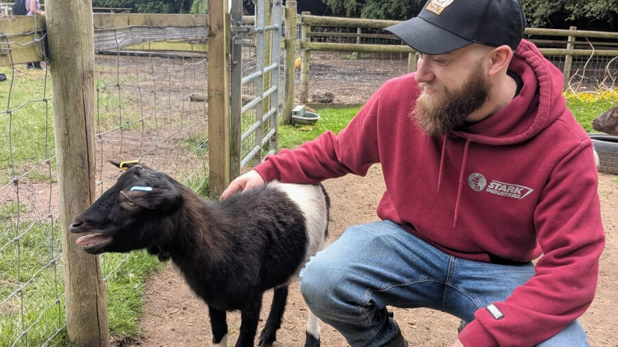 Alex Bertie in red hoodie petting a small goat near a wooden fence outdoors.