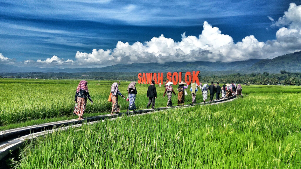 People walking along a narrow path through green rice fields in Solok, Indonesia with mountains and clouds in the background.