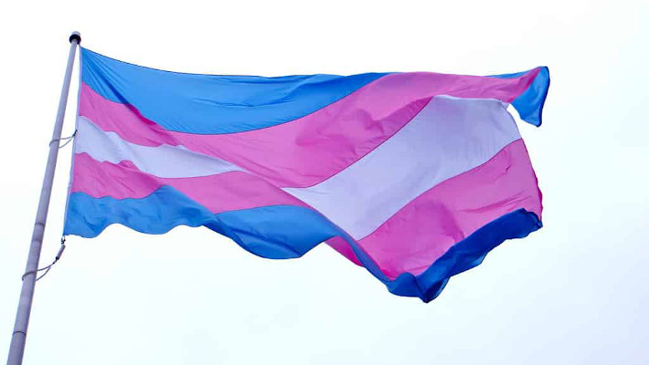 drapeau transgenre